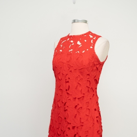 Shoshanna. Vivienne Lace Dress. - Picture 6 of 14